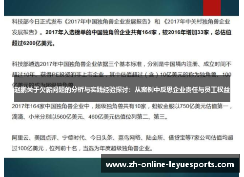 赵鹏关于欠薪问题的分析与实践经验探讨：从案例中反思企业责任与员工权益