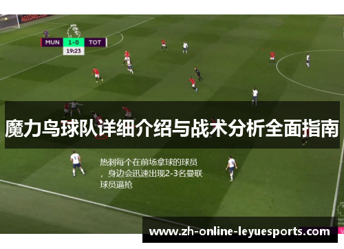 魔力鸟球队详细介绍与战术分析全面指南
