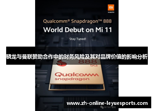 骁龙与曼联赞助合作中的财务风险及其对品牌价值的影响分析