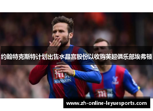 约翰特克斯特计划出售水晶宫股份以收购英超俱乐部埃弗顿 约翰特克斯特计划出售水晶宫股份以收购英超俱乐部埃弗顿