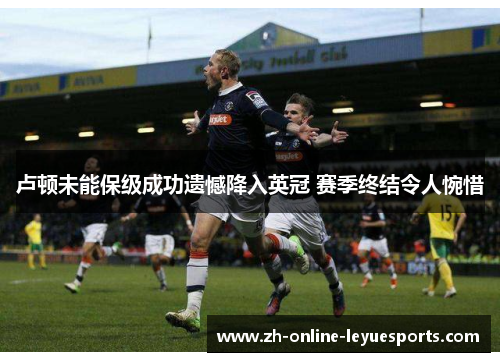 卢顿未能保级成功遗憾降入英冠 赛季终结令人惋惜